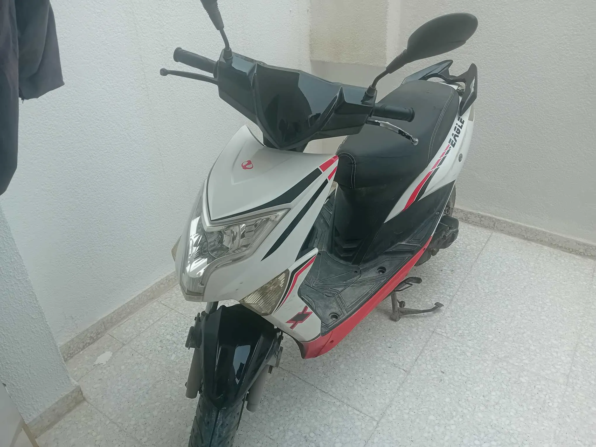 zimota eagle