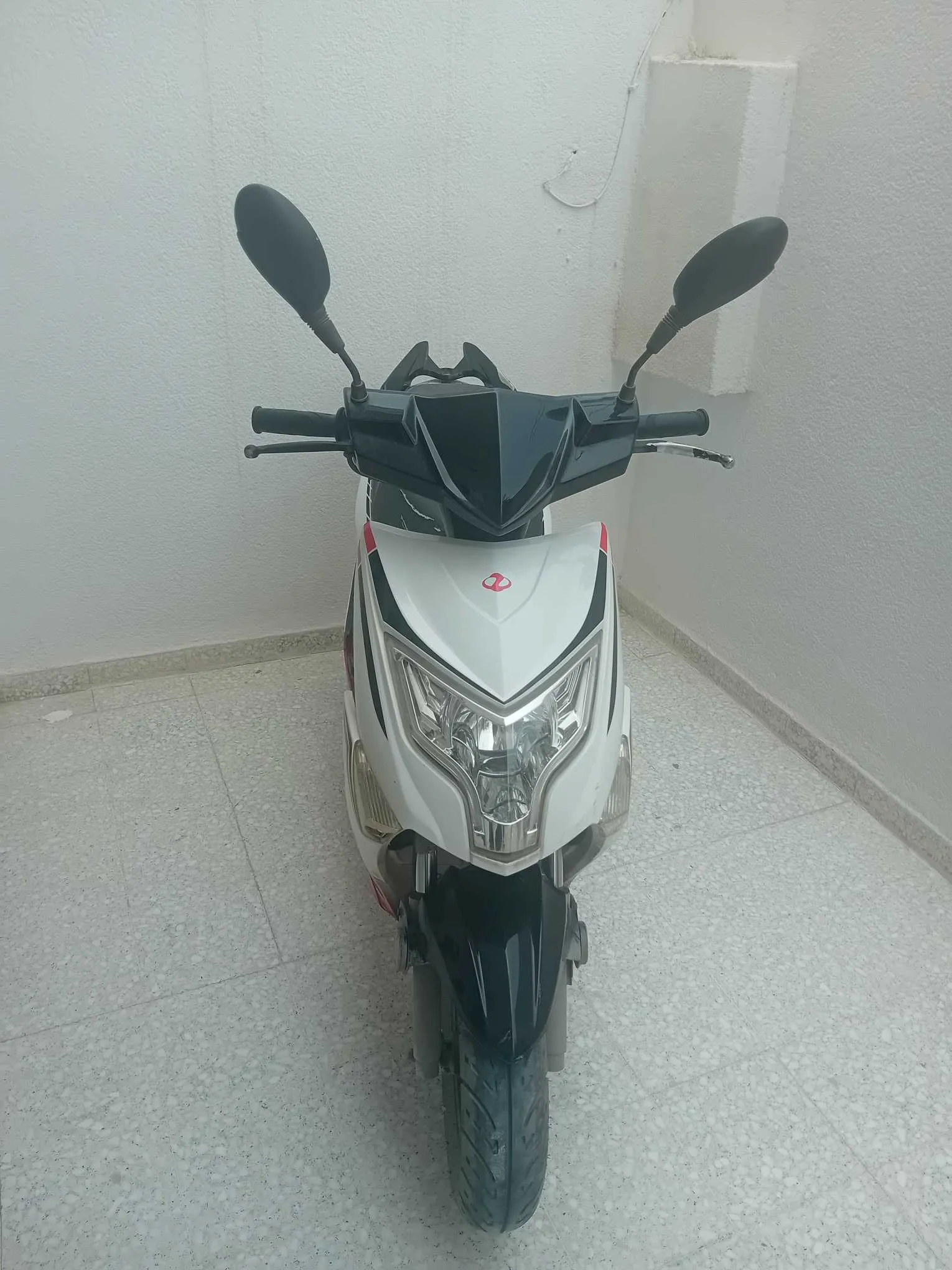 zimota eagle