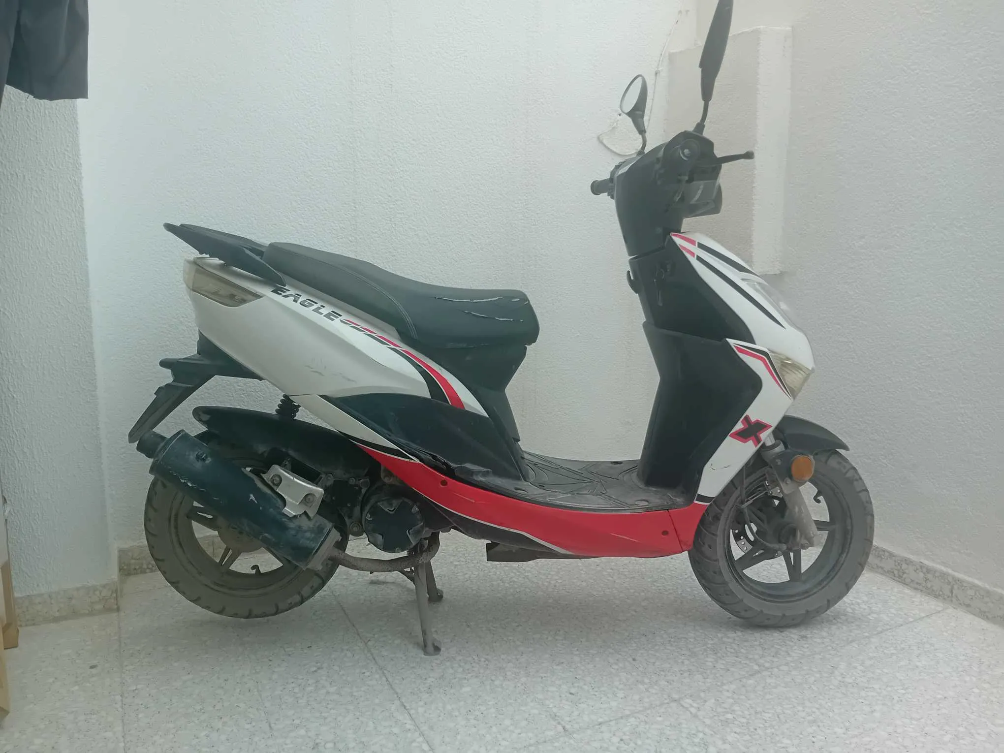 zimota eagle