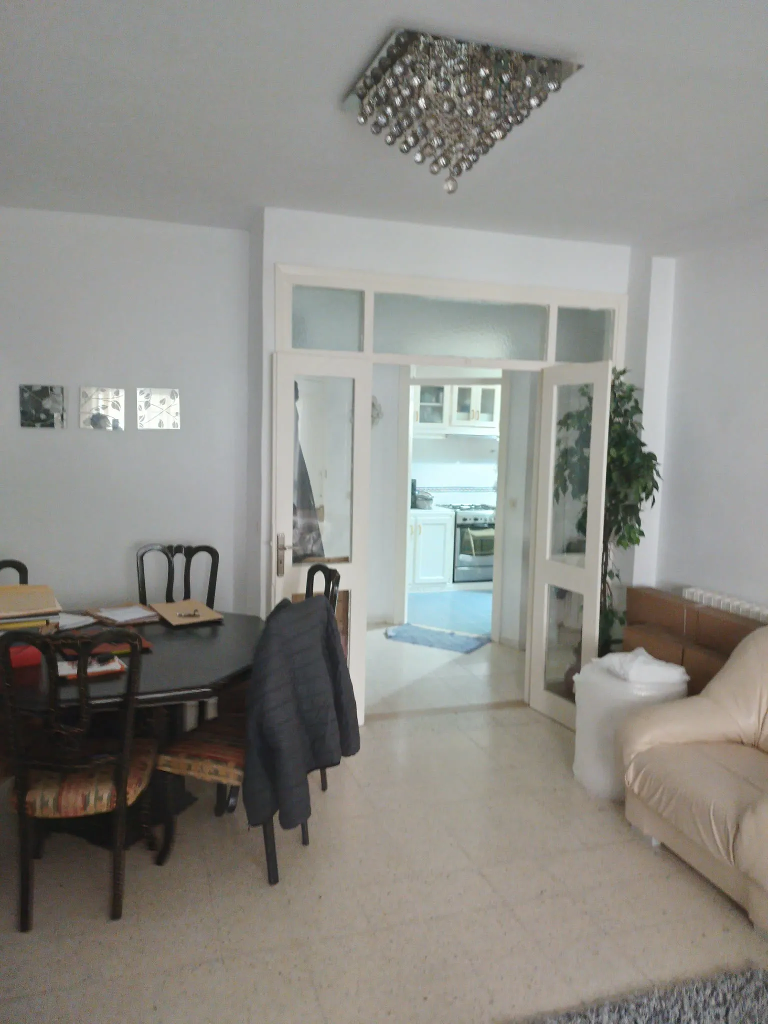 À vendre à Carthage Byrsa : appartement lumineux en rez-de-chaussée, occasion exceptionnelle.