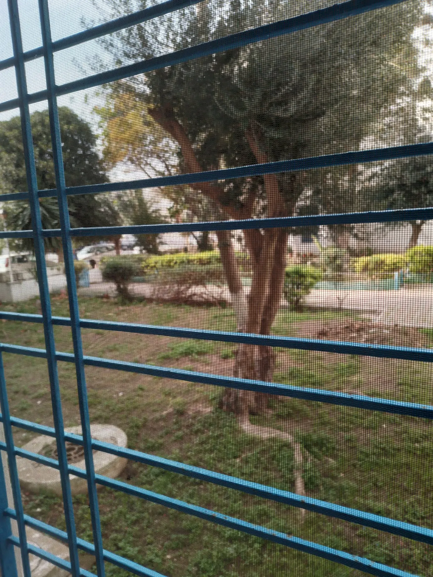 À vendre à Carthage Byrsa : appartement lumineux en rez-de-chaussée, occasion exceptionnelle.