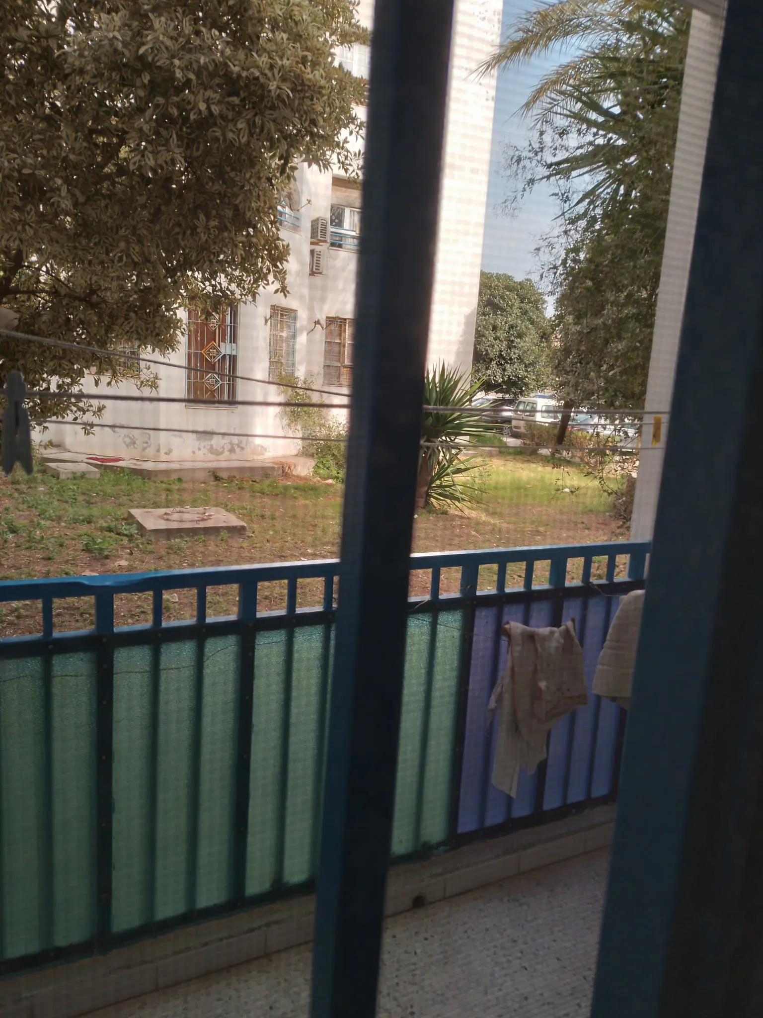 À vendre à Carthage Byrsa : appartement lumineux en rez-de-chaussée, occasion exceptionnelle.