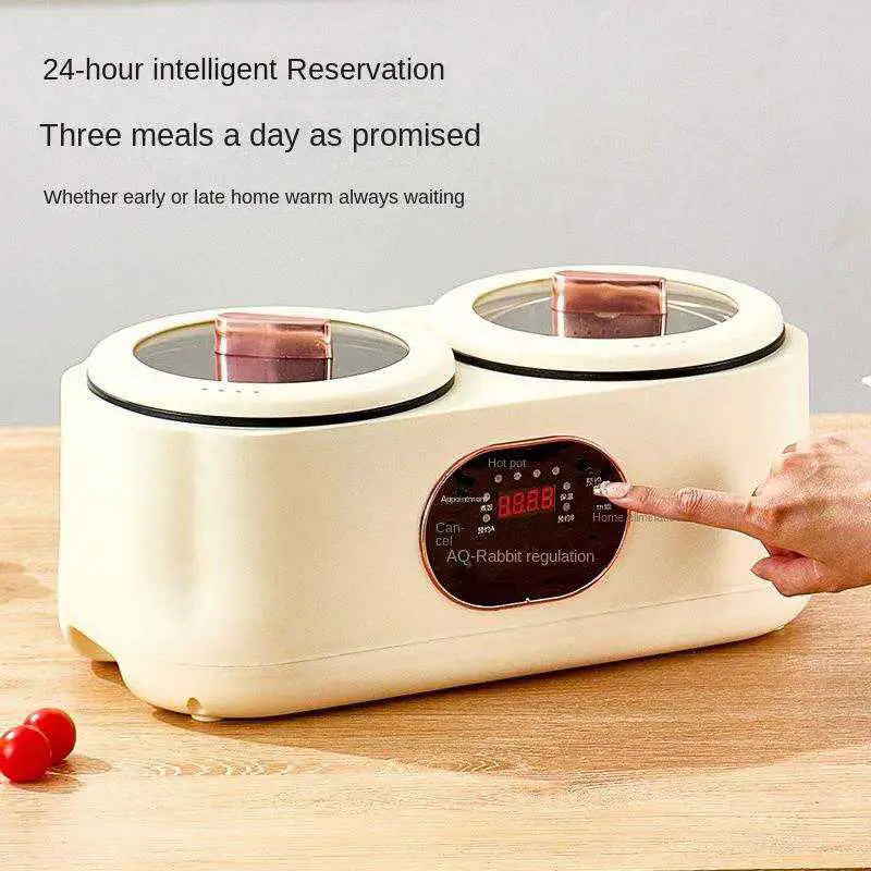 Cuiseur Double Multifonction