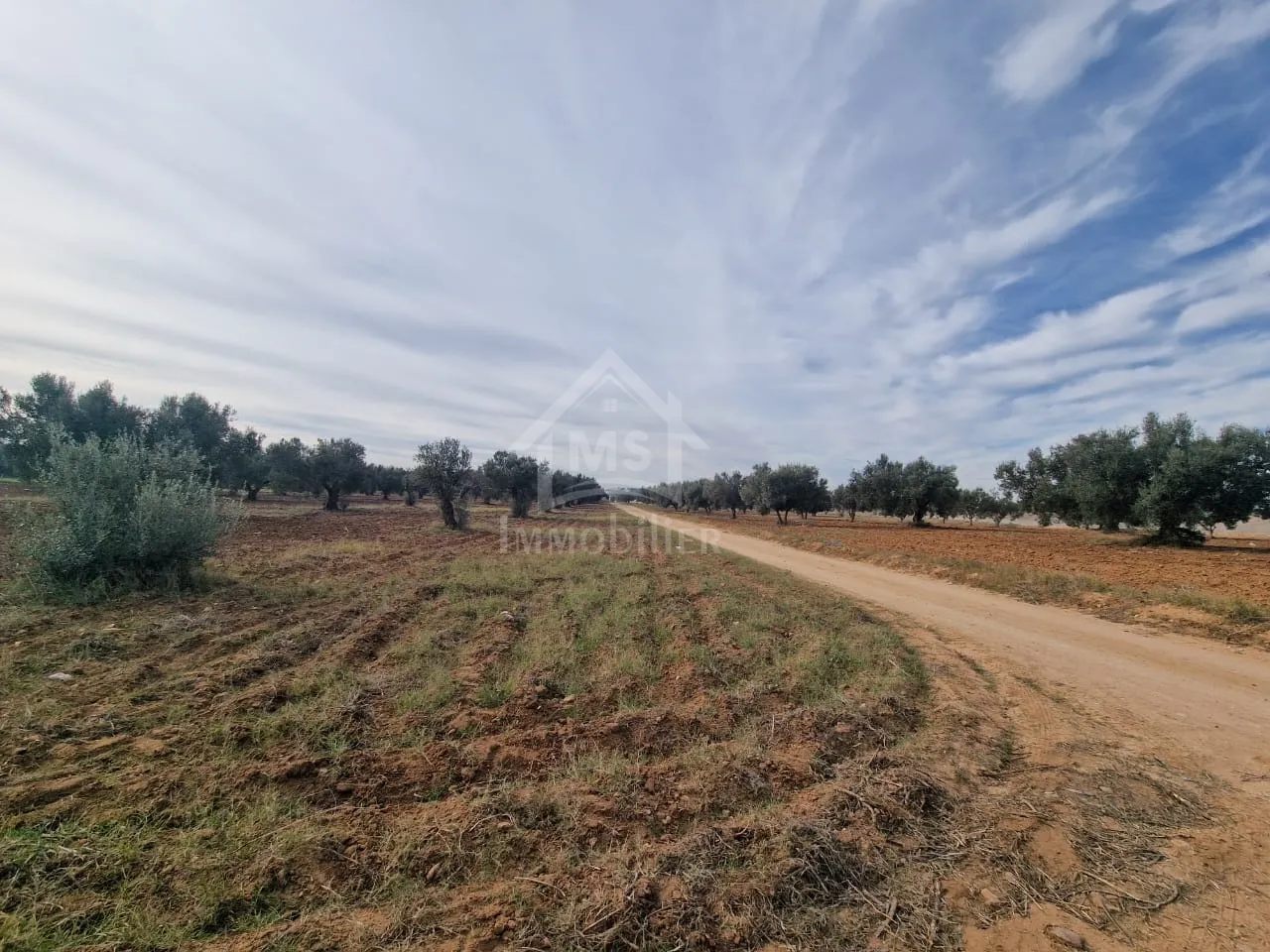 Terrain de 970 m² à Hammamet Sud à vendre à 230 MD 51355351