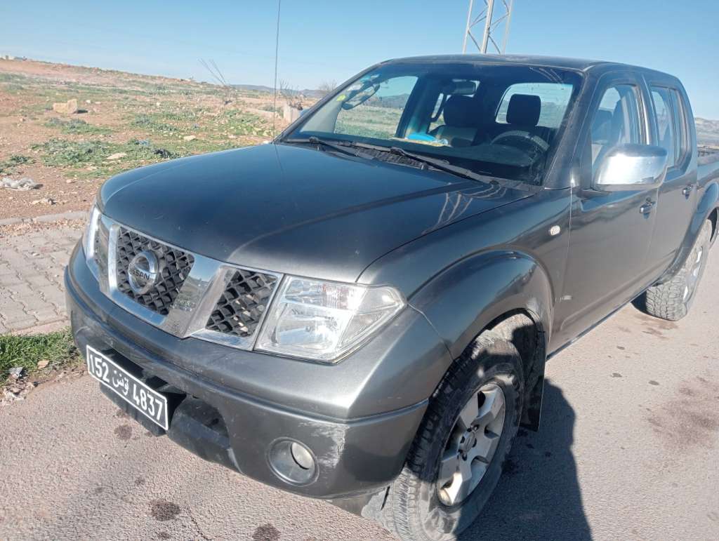 Navara D40