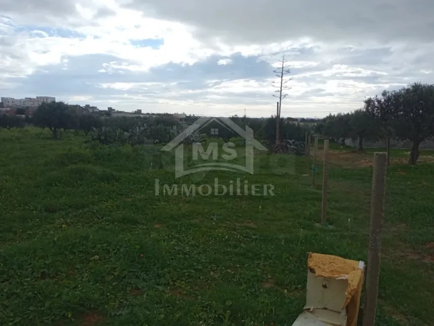 terrain a vendre hammamet basbasia
