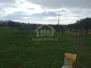 terrain a vendre hammamet basbasia