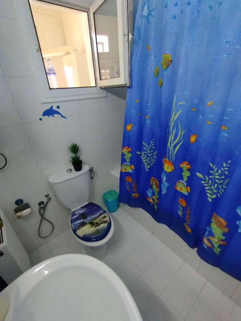 Appartement a vendre