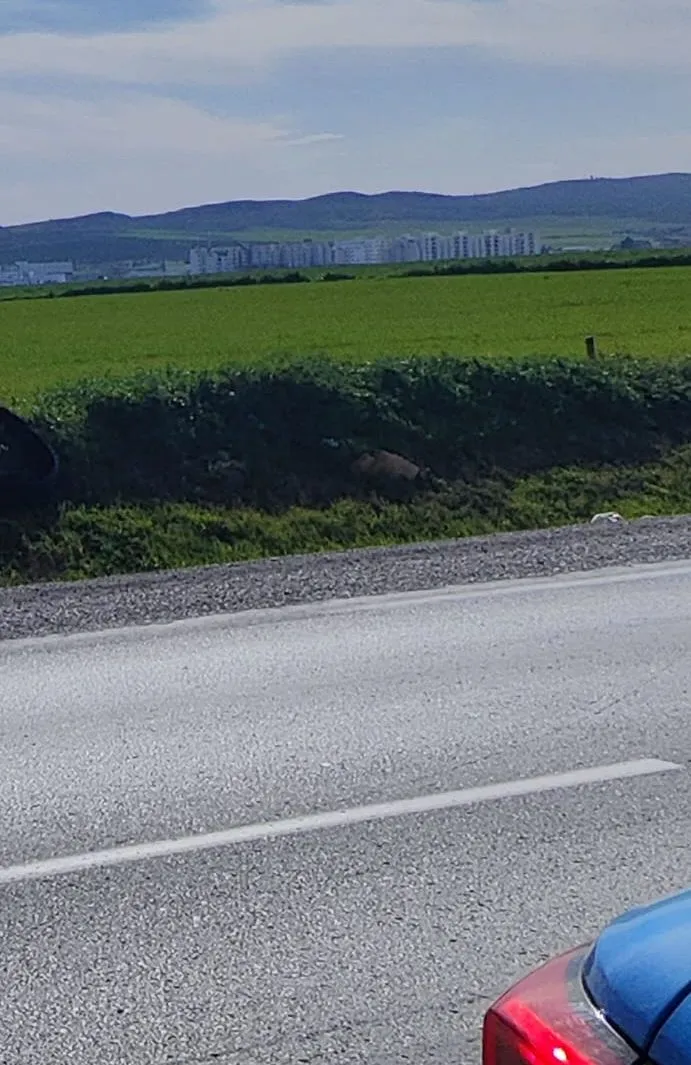 Terrain الفجة unique