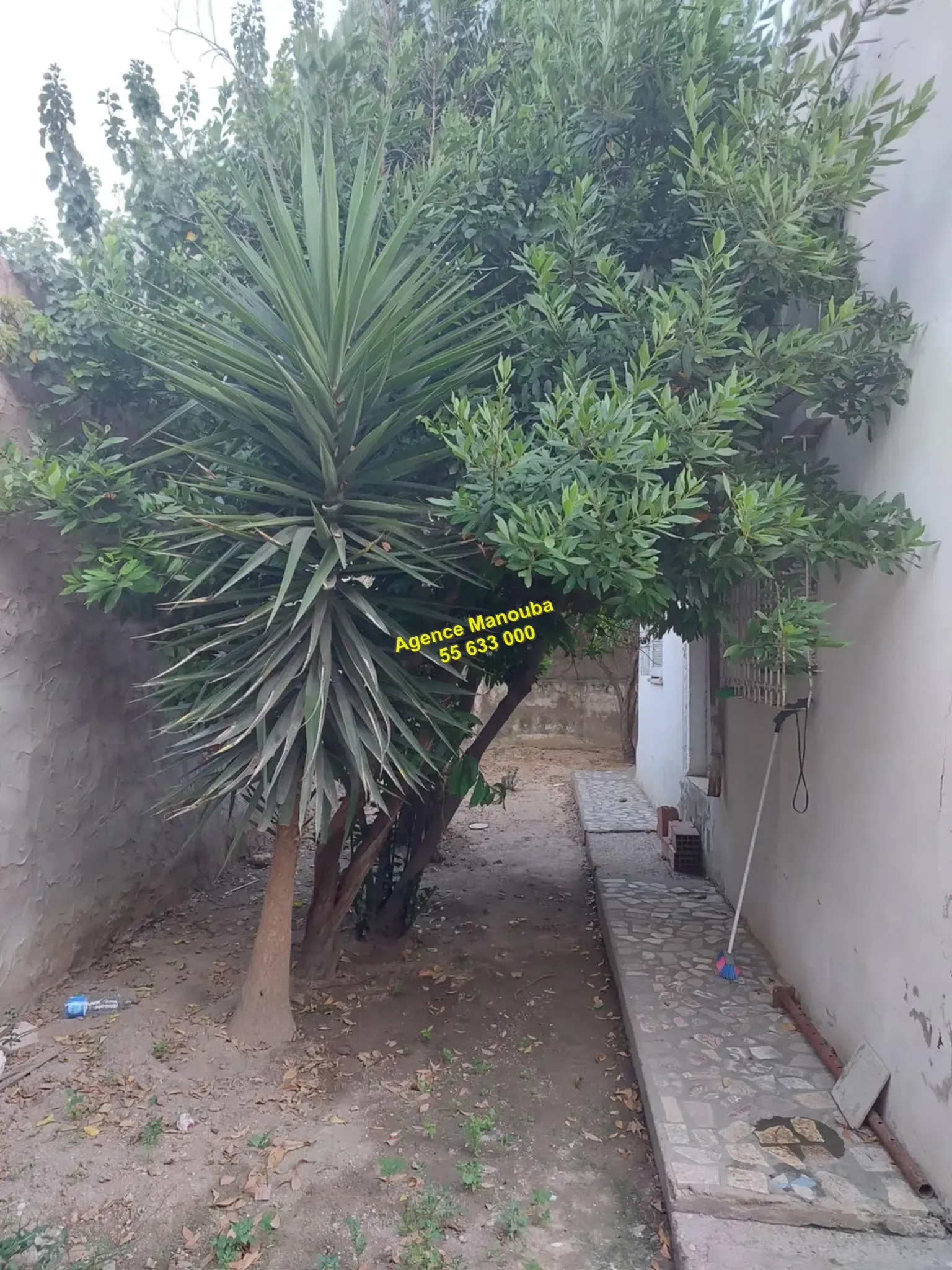 a vendre villa