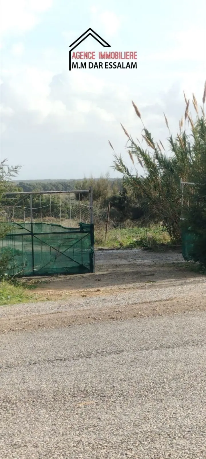 terrain se trouve directement sur la route principal