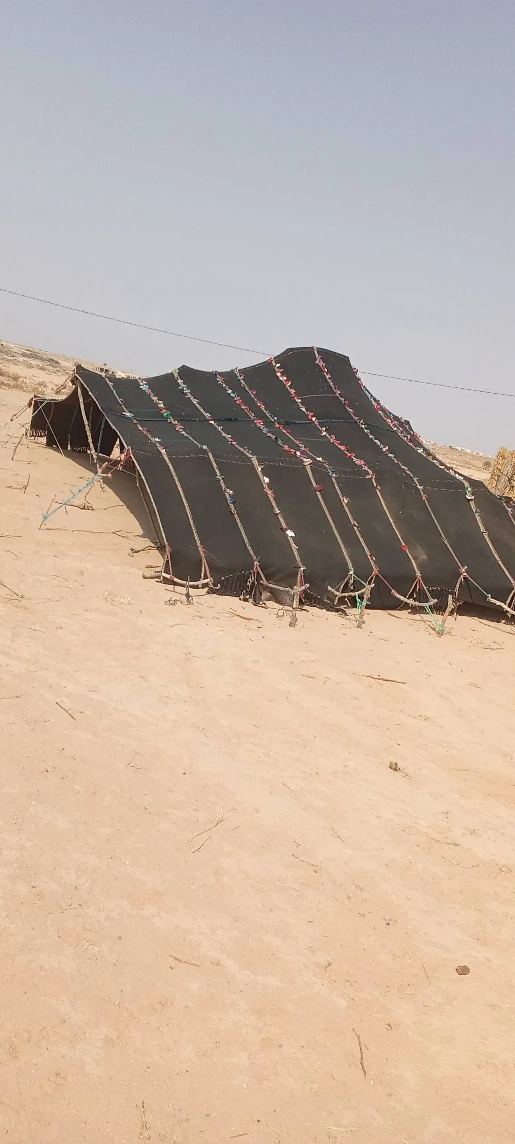 بيت شعر تقليدية