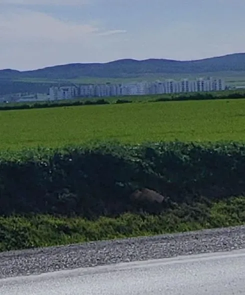 Terrain فرصة ممتازة جدا في الفجة 