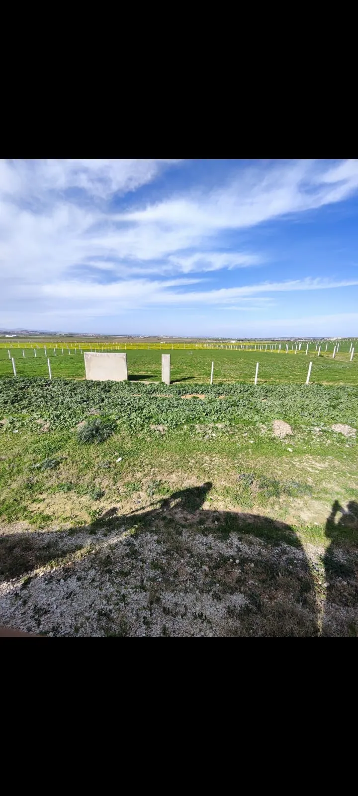 Terrain فرصة ممتازة جدا في الفجة 