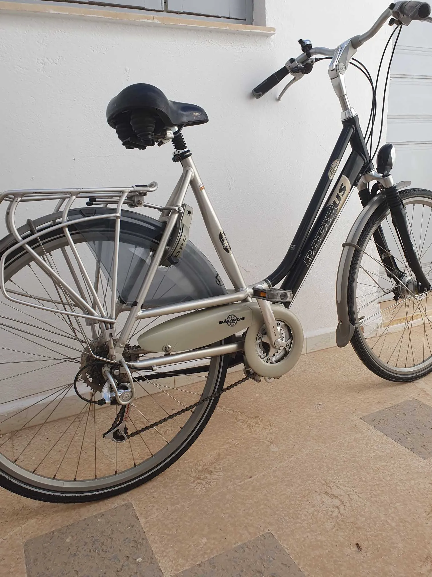 Vélo hollandais 🇱🇺
