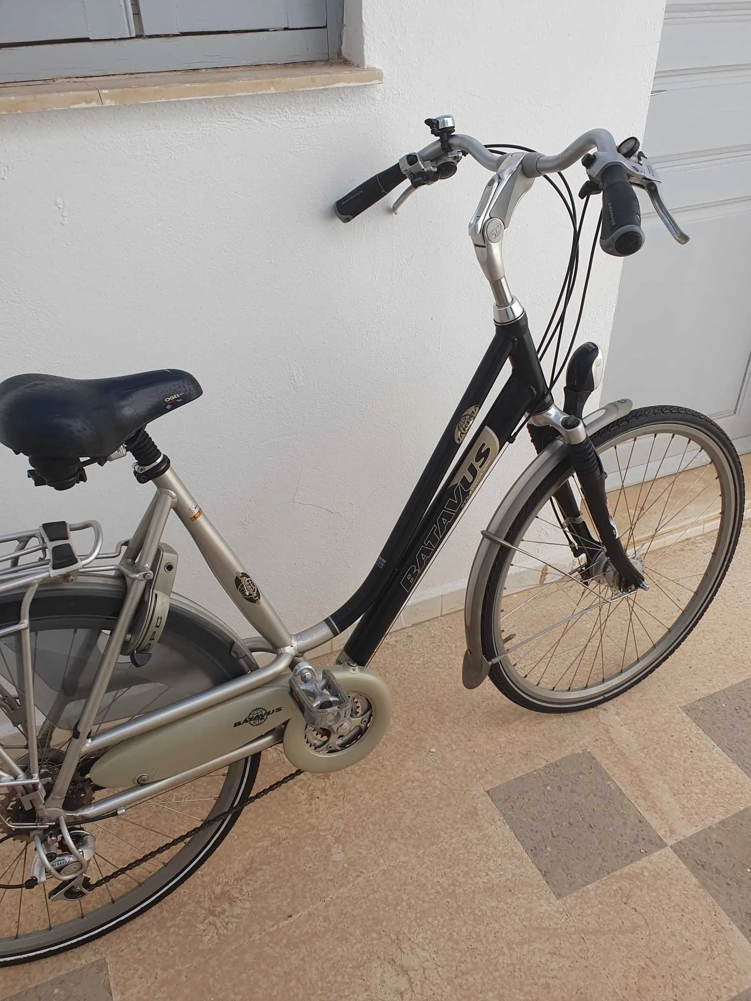 Vélo hollandais 🇱🇺