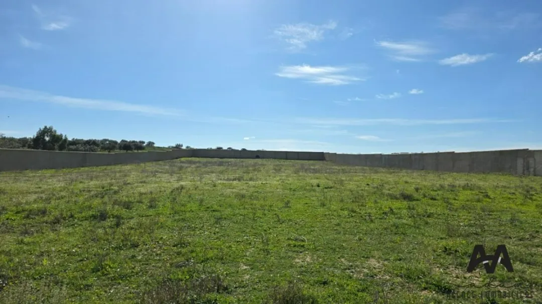 Terrain clôturé de 8 200 m² à Hammamet