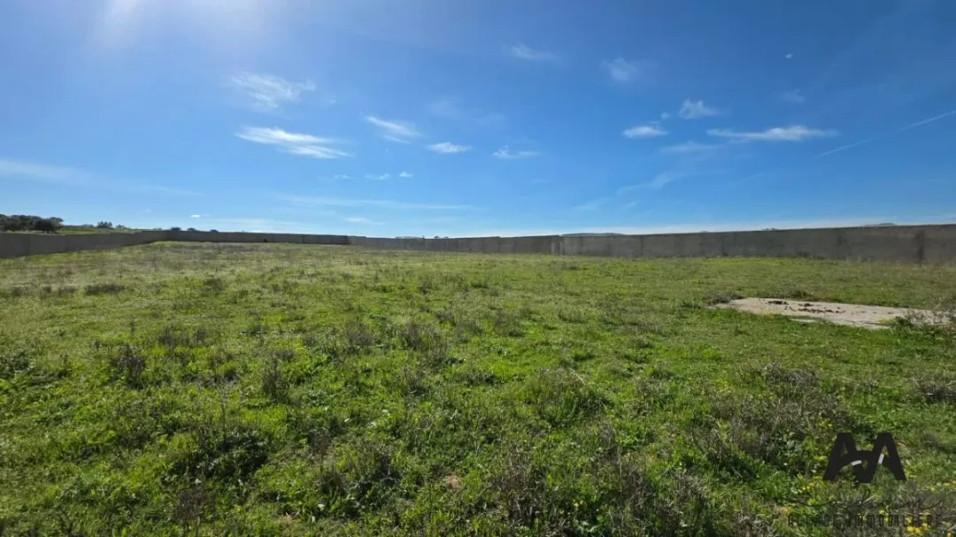 Terrain clôturé de 8 200 m² à Hammamet