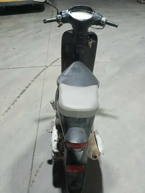 scarabeo 50