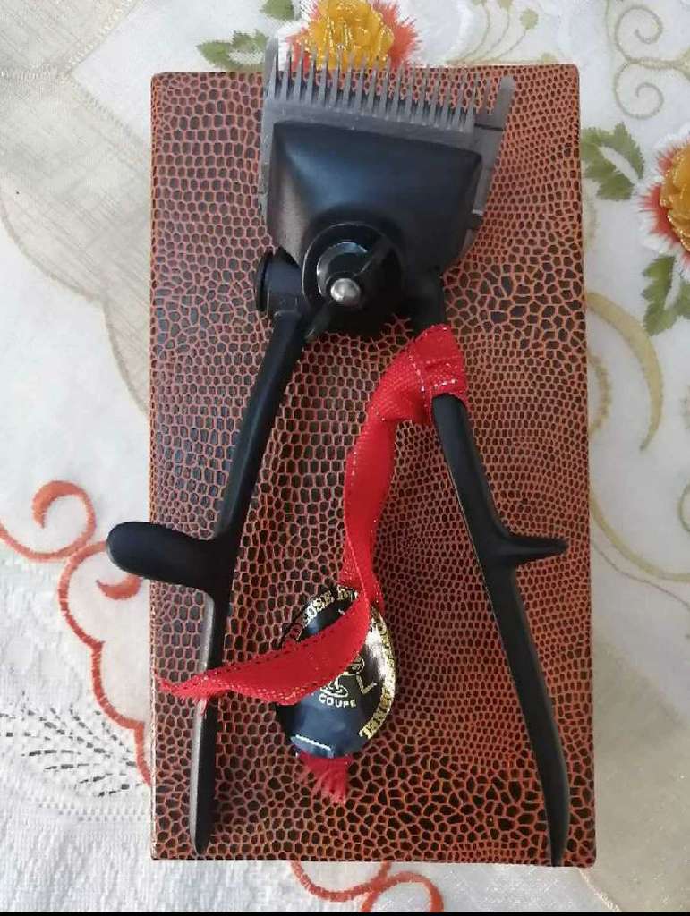 Matériaux de coiffure