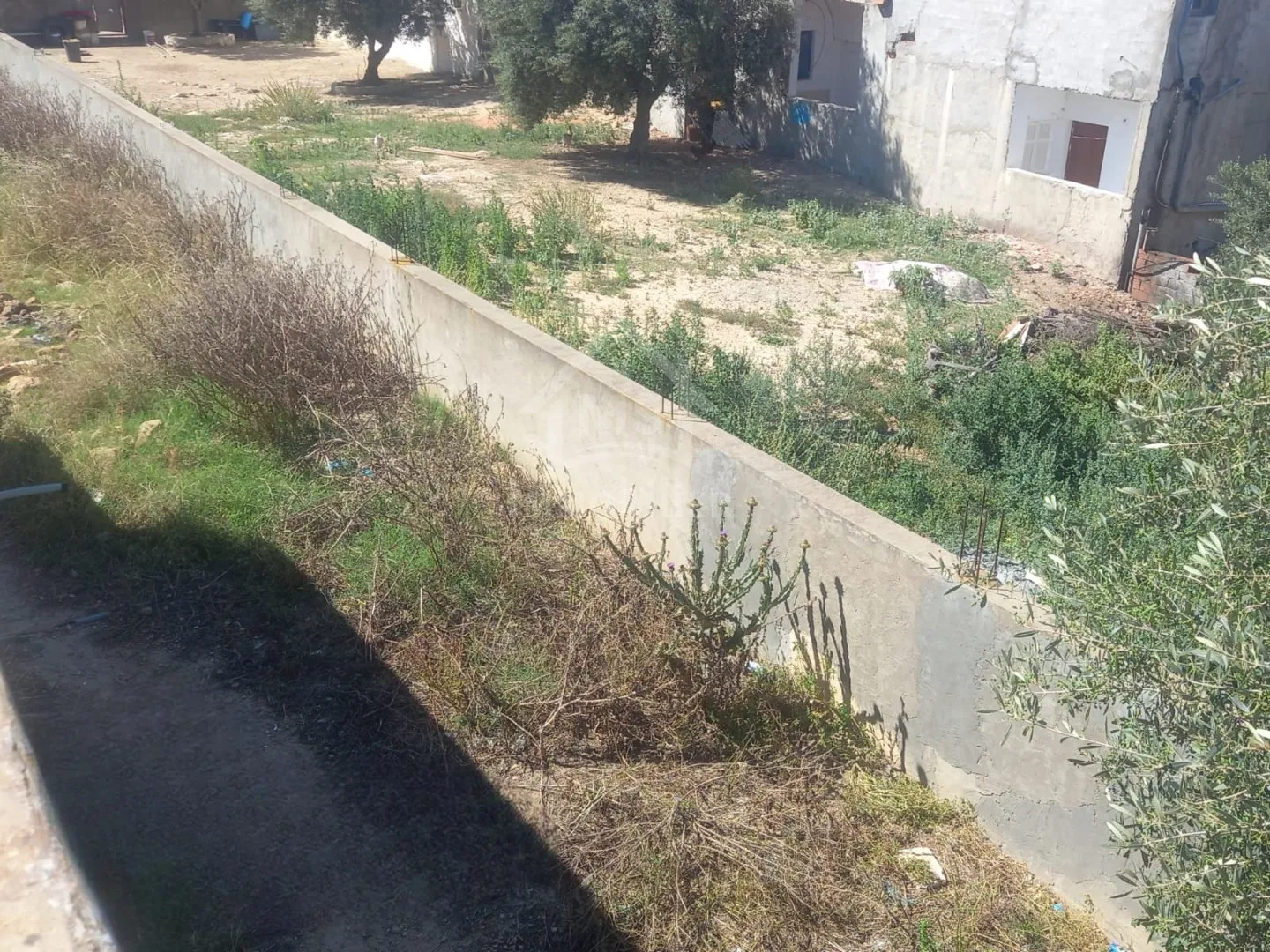 Maison S+2 avec un terrain à vendre à Hammamet Sud 51355351