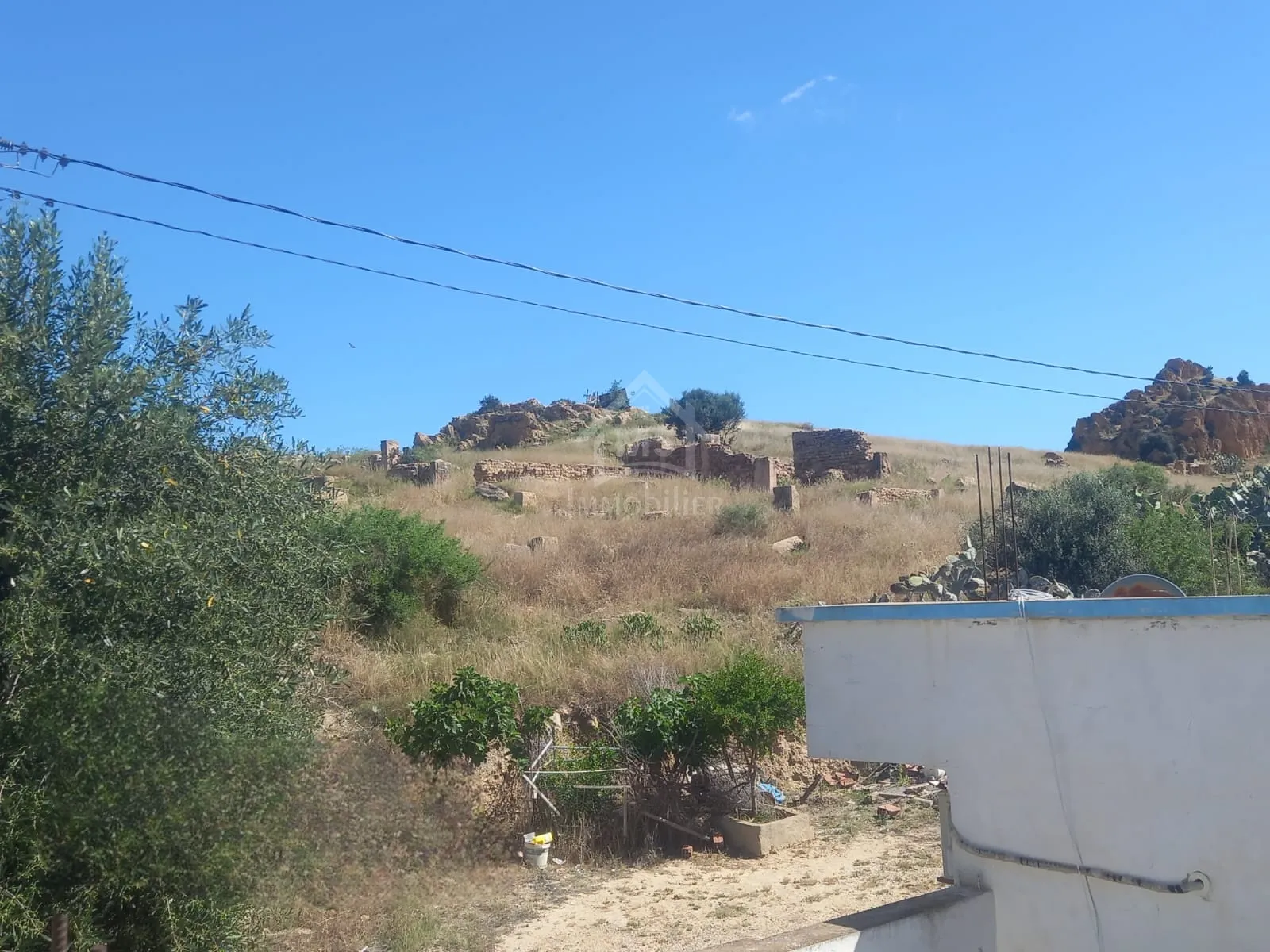 Maison S+2 avec un terrain à vendre à Hammamet Sud 51355351