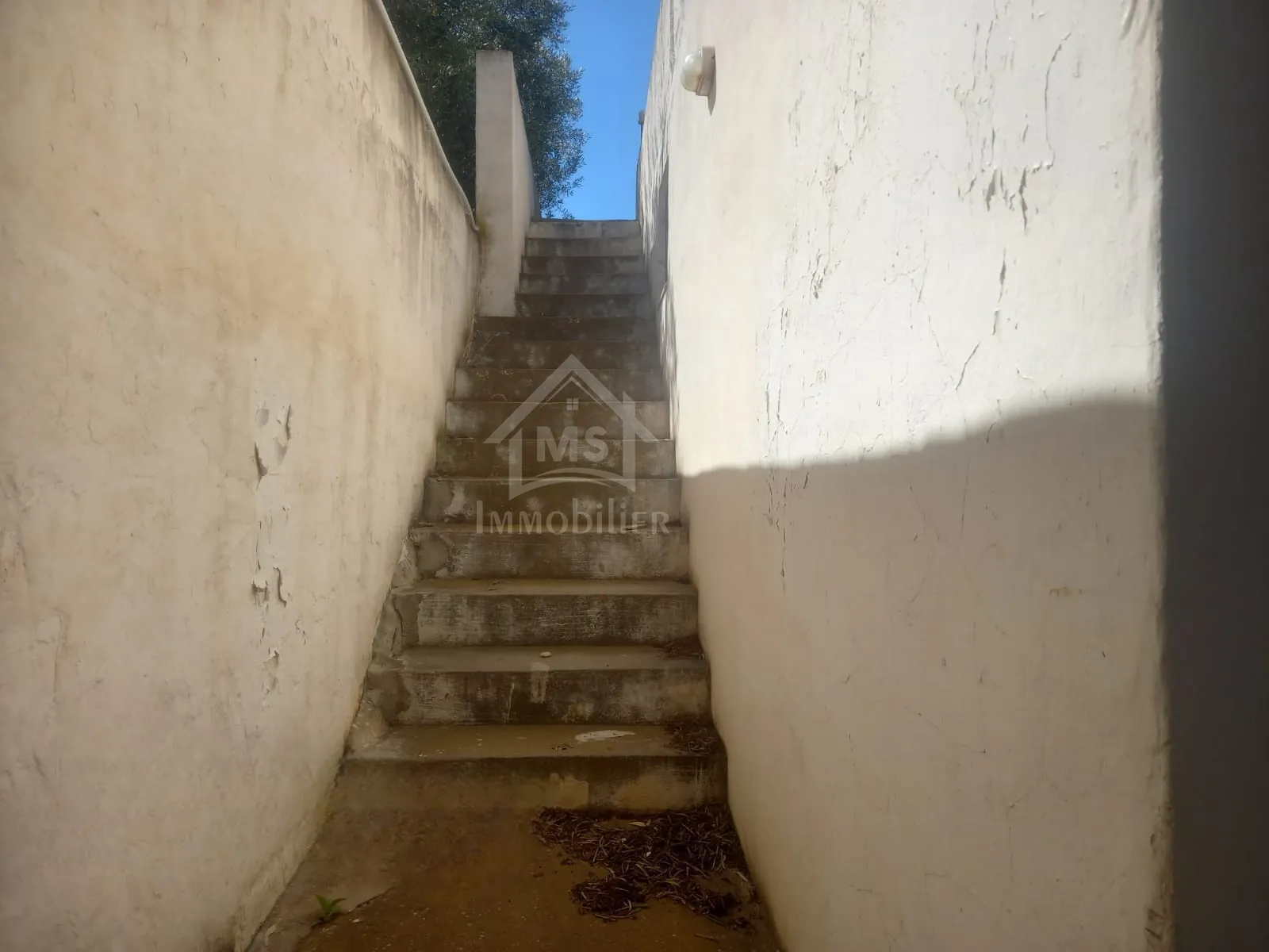 Maison S+2 avec un terrain à vendre à Hammamet Sud 51355351