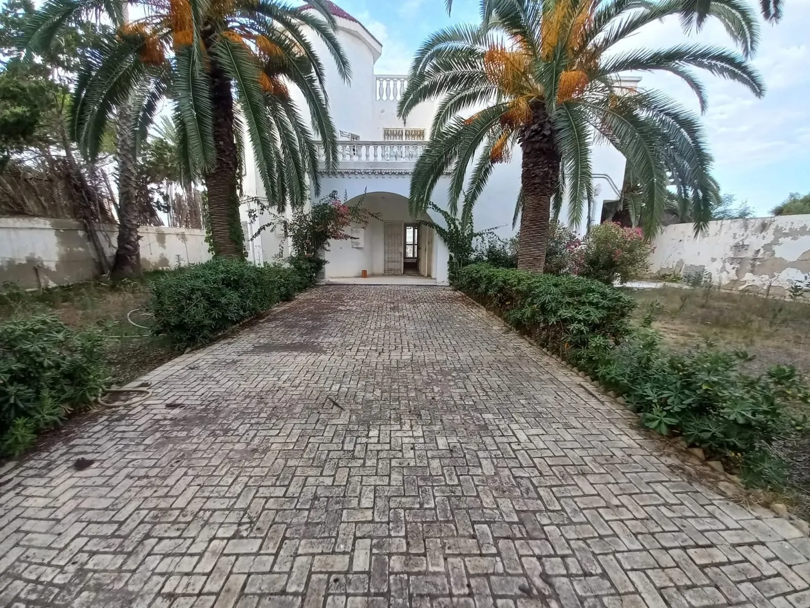 🏡Villa Avec Piscine Pieds Dans L'eau En Vente | Chott Mariem