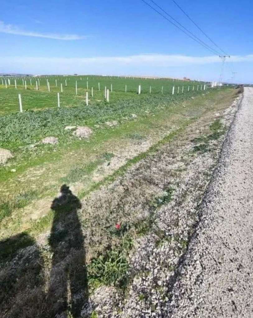 El fejja # Terrain # Occasion 2026 