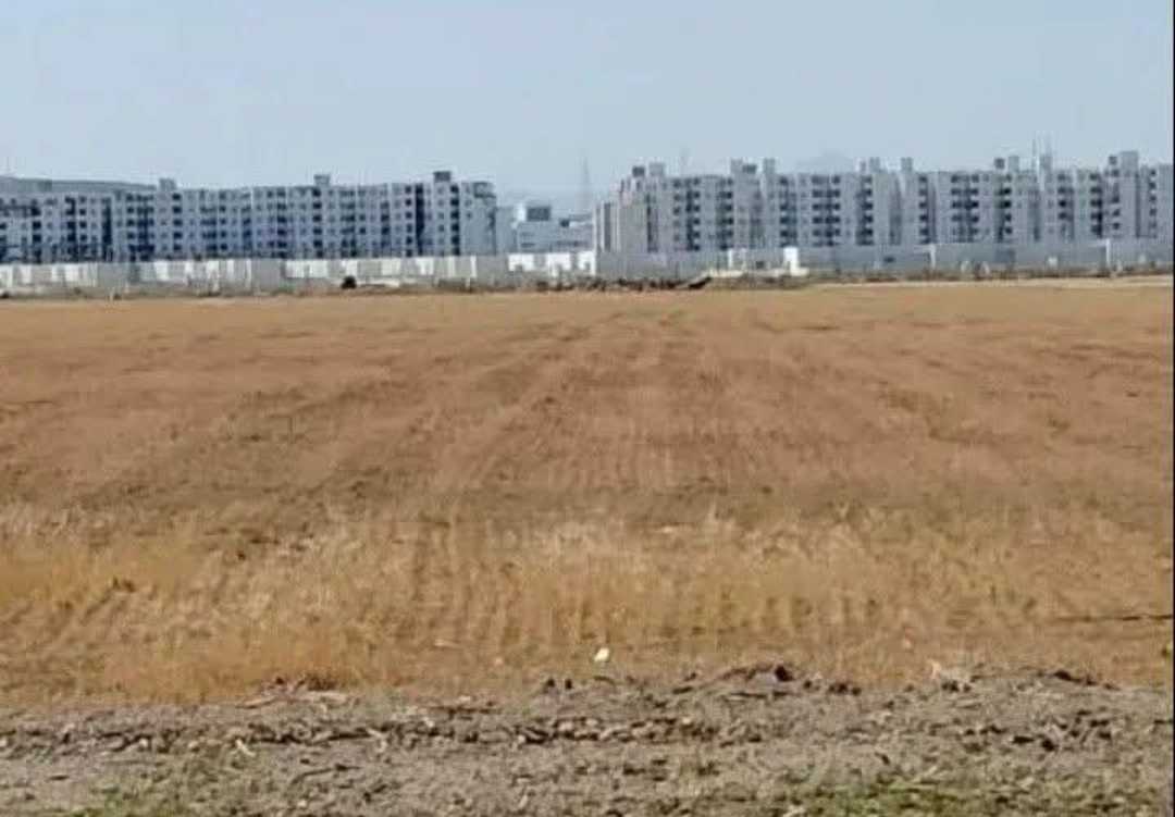 El fejja # Terrain # Occasion 2026 