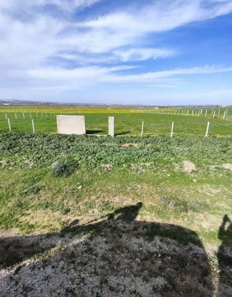 El fejja # Terrain # Occasion 2026 