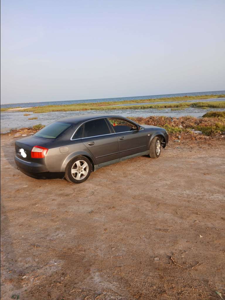 اودي