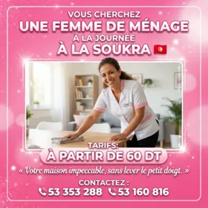 femme de menage par jour sokra
