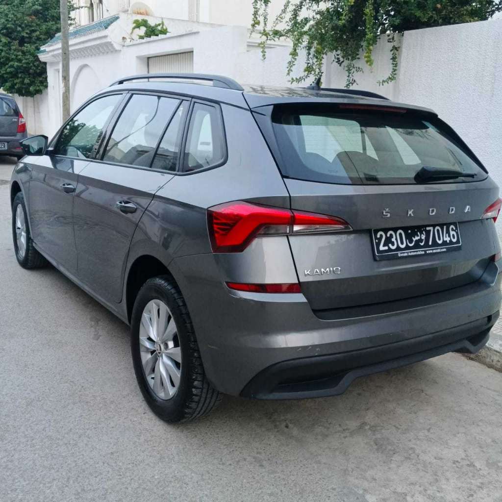 Skoda Kamiq