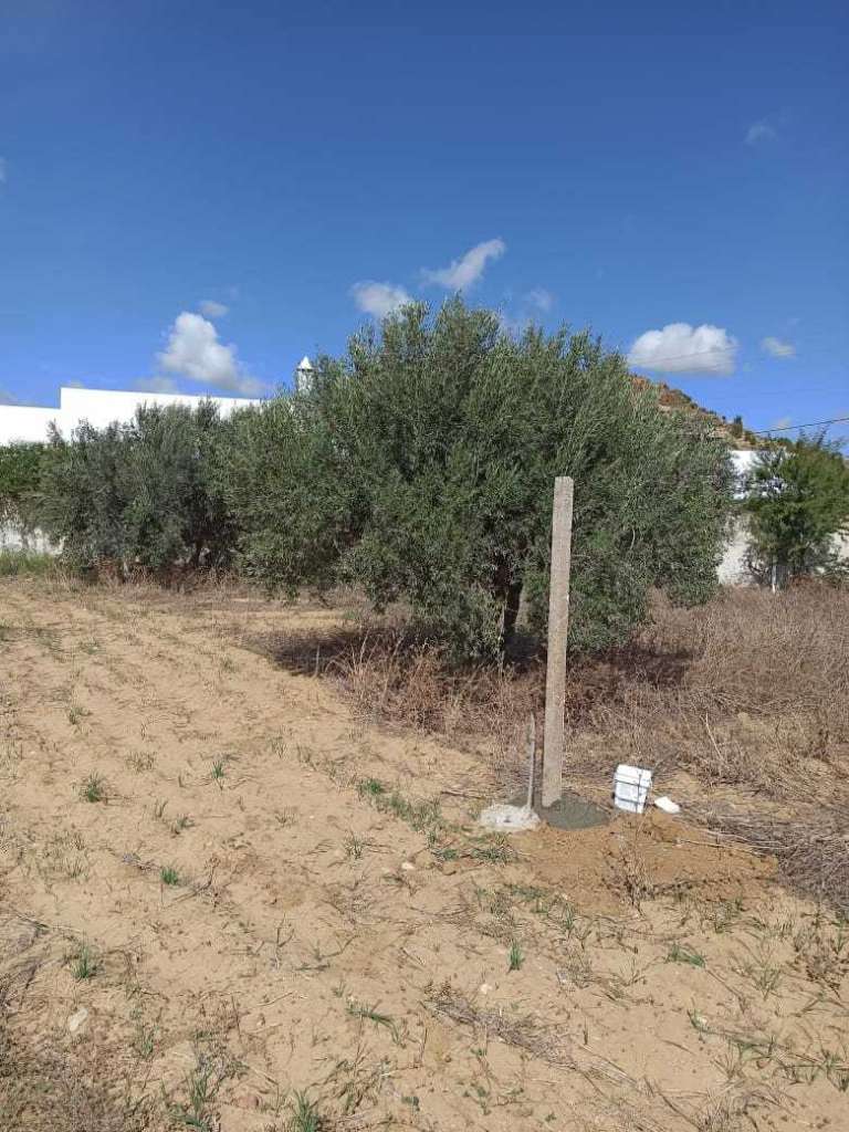 Vente terrain à monchar 2