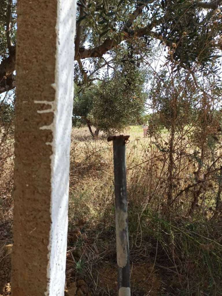 Vente terrain à monchar 2