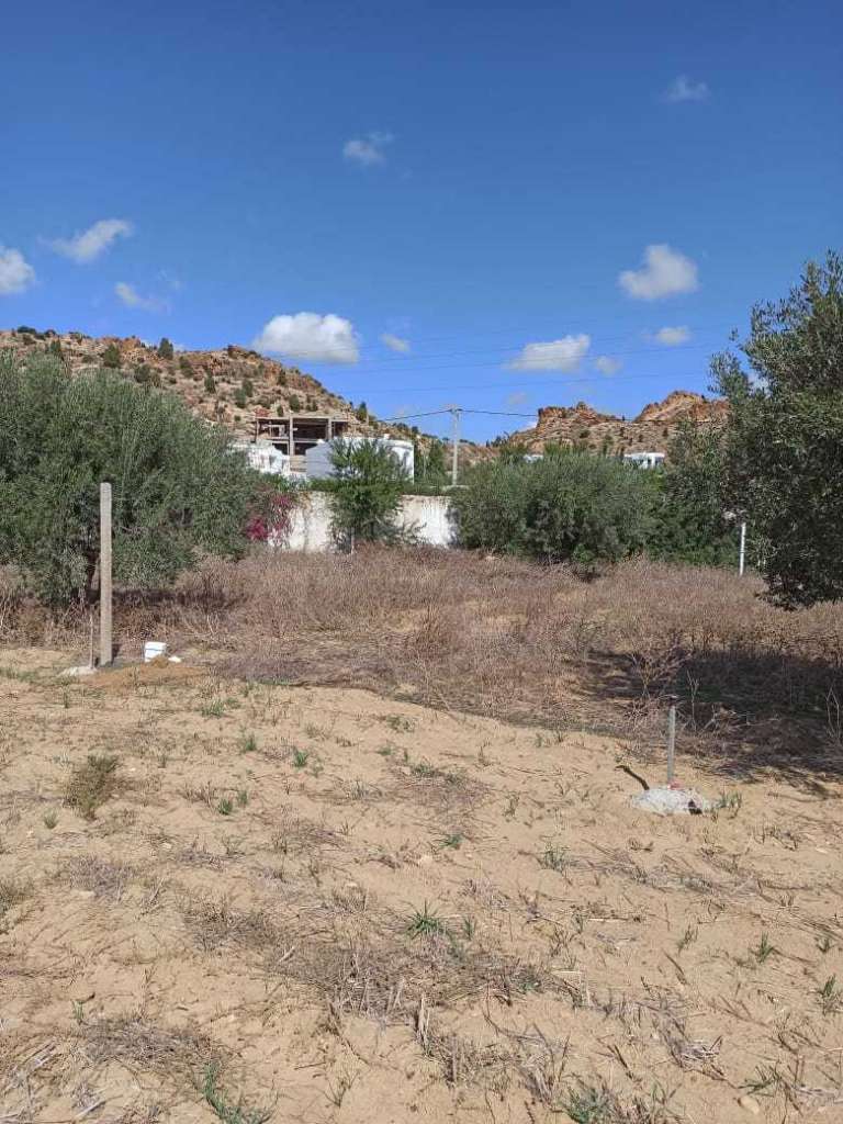 Vente terrain à monchar 2