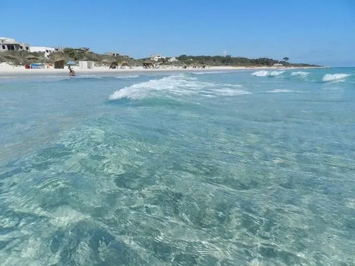 2 HA MAGIQUE