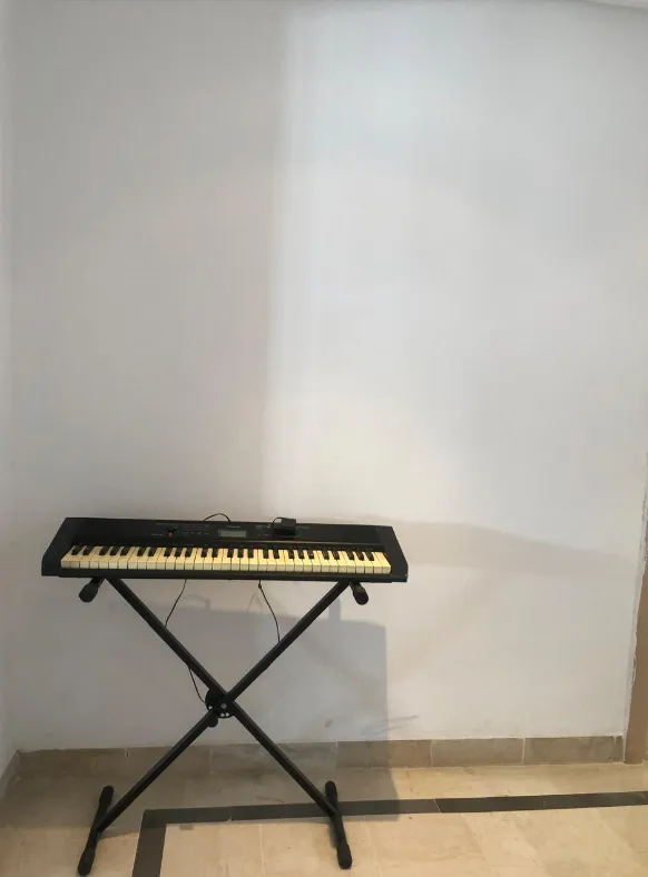 Orgue Ringway TB100 pour les débutants