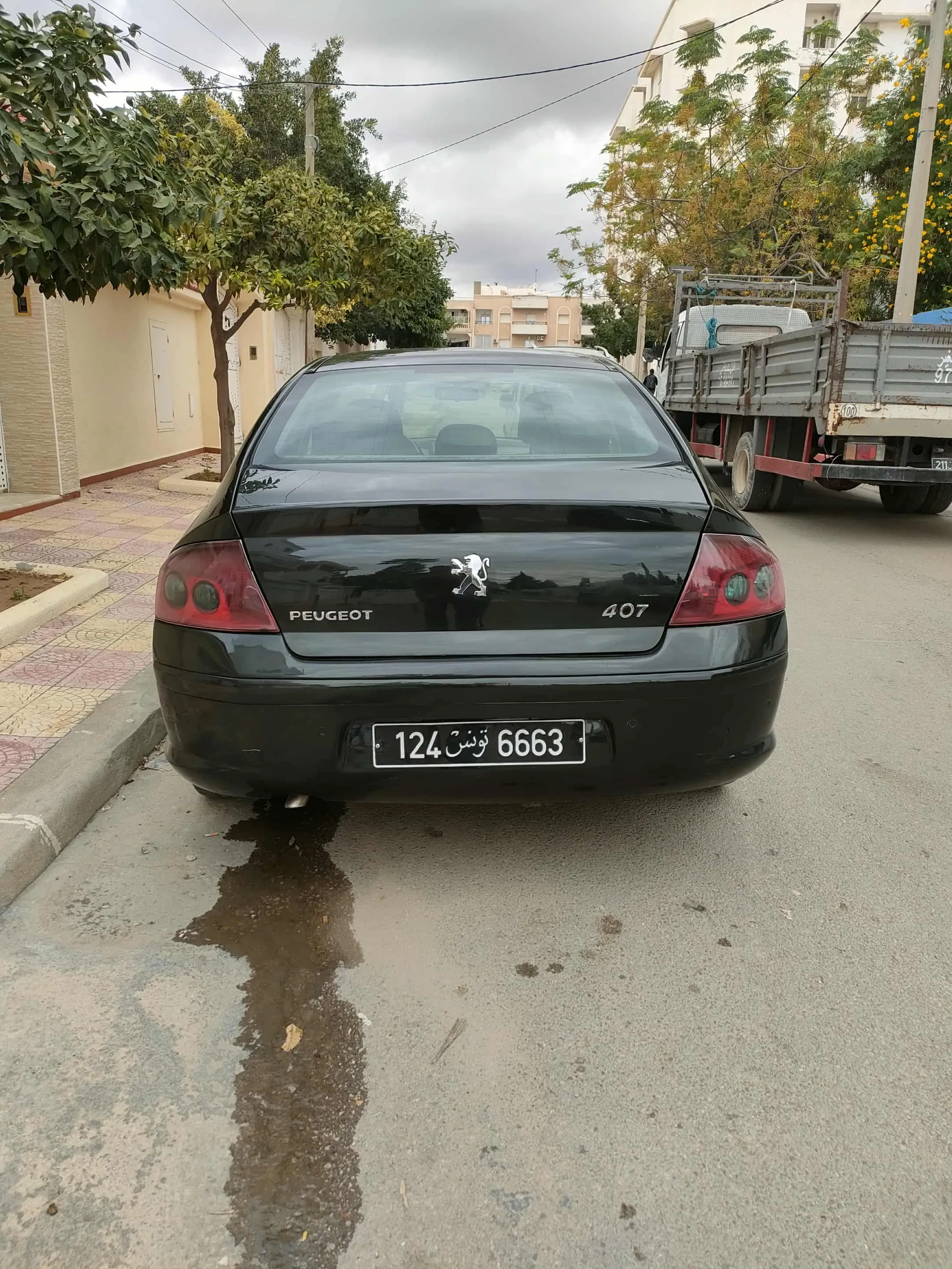 peugeot 407