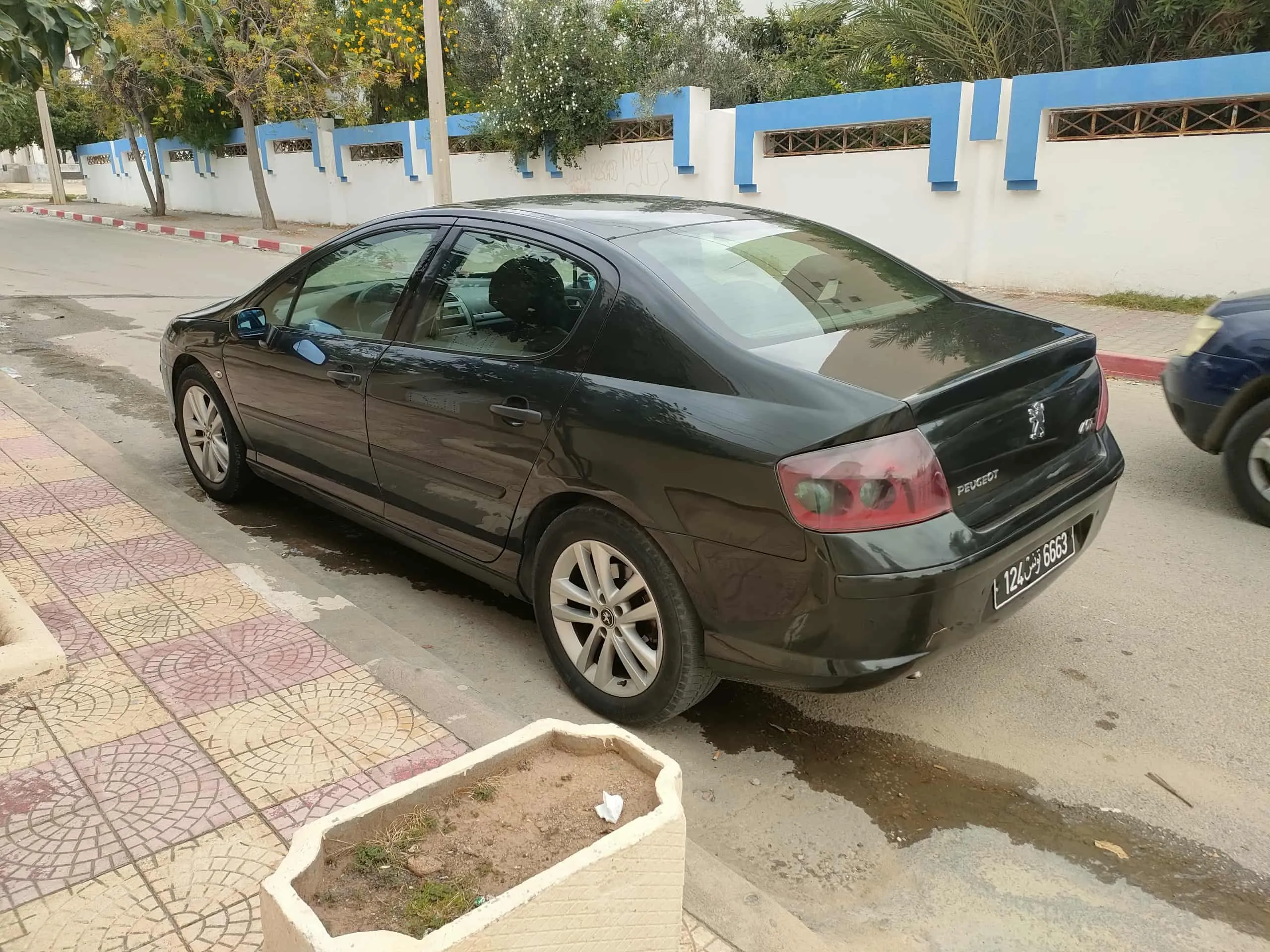 peugeot 407