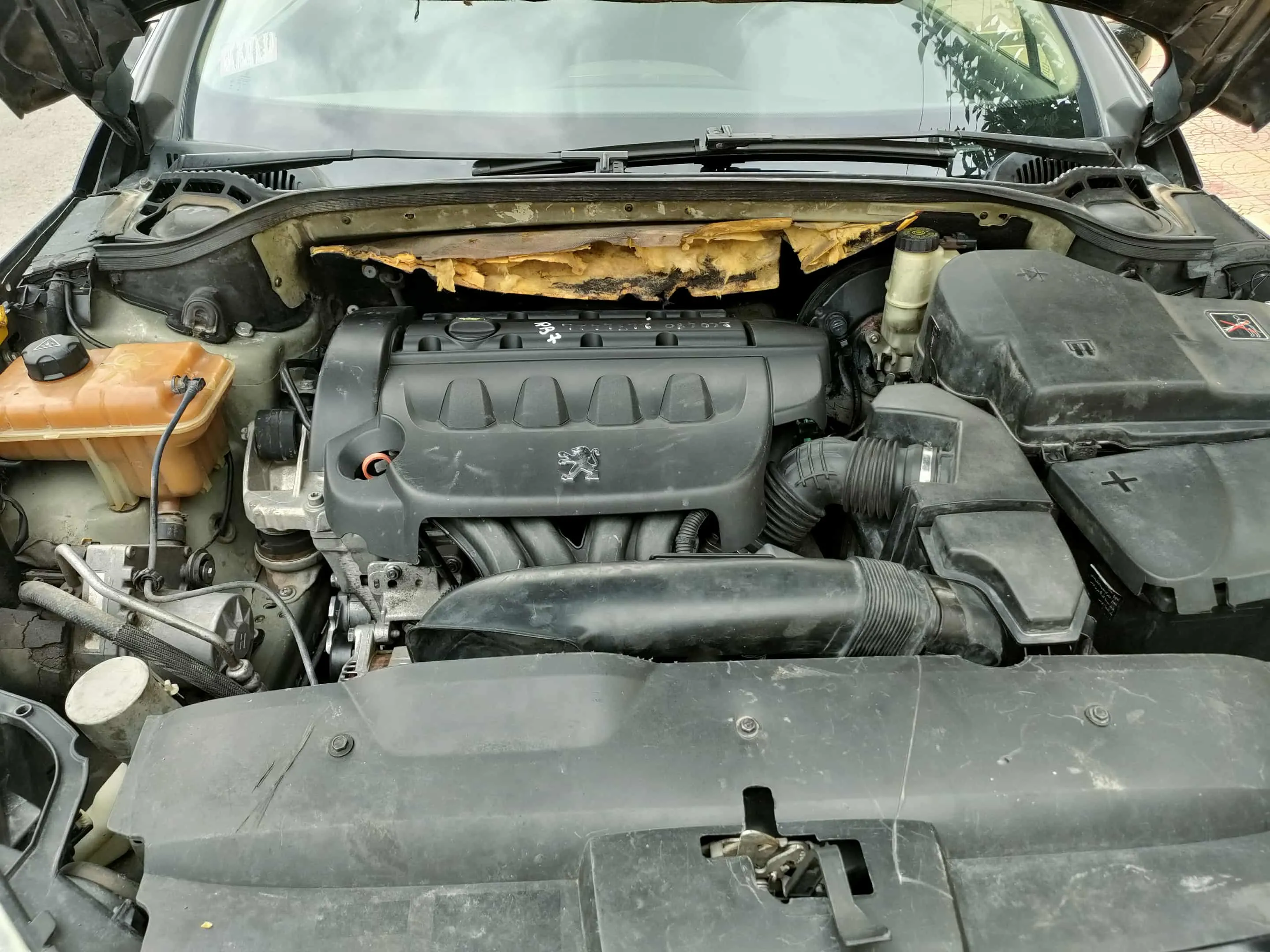peugeot 407