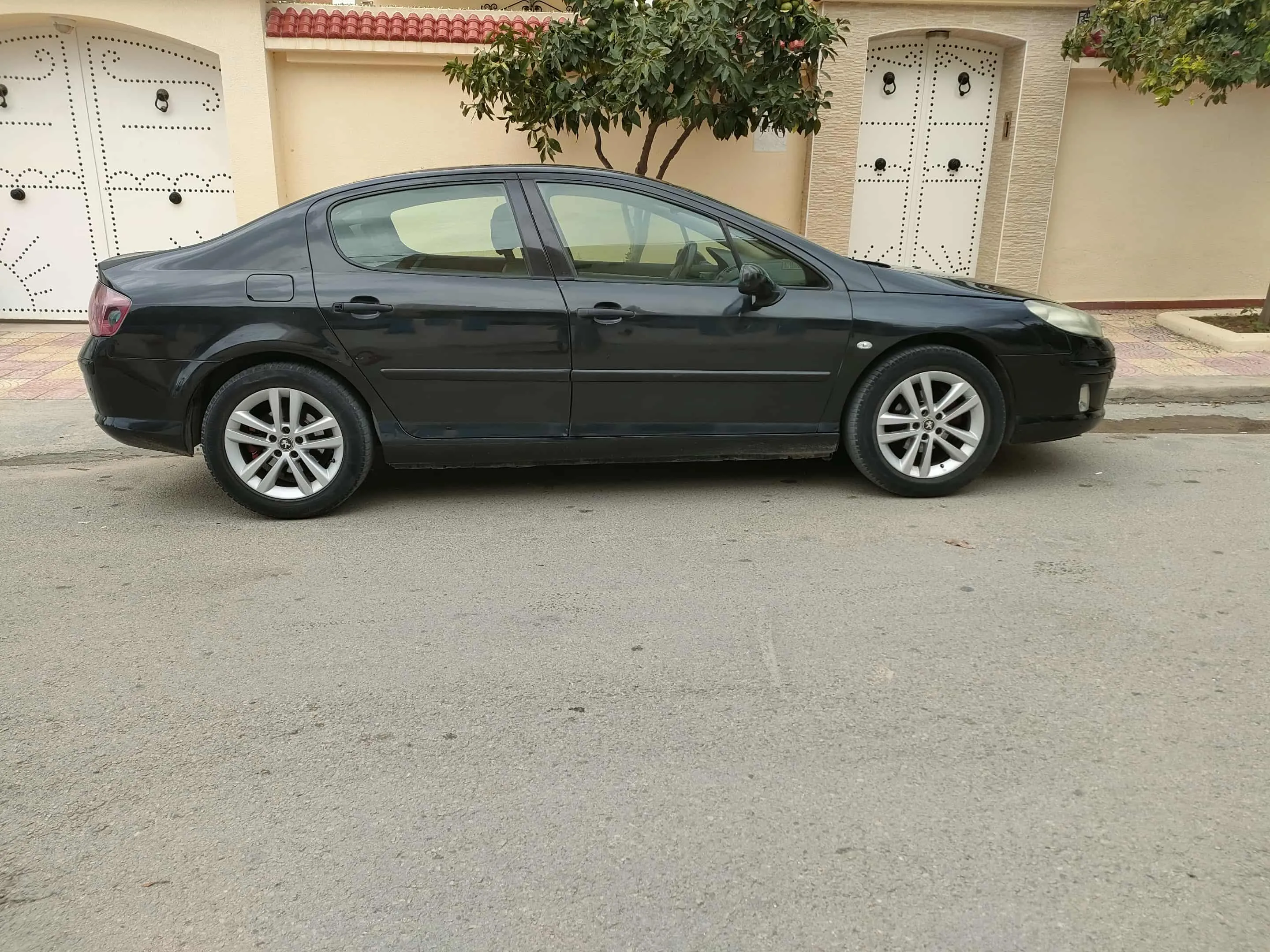 peugeot 407