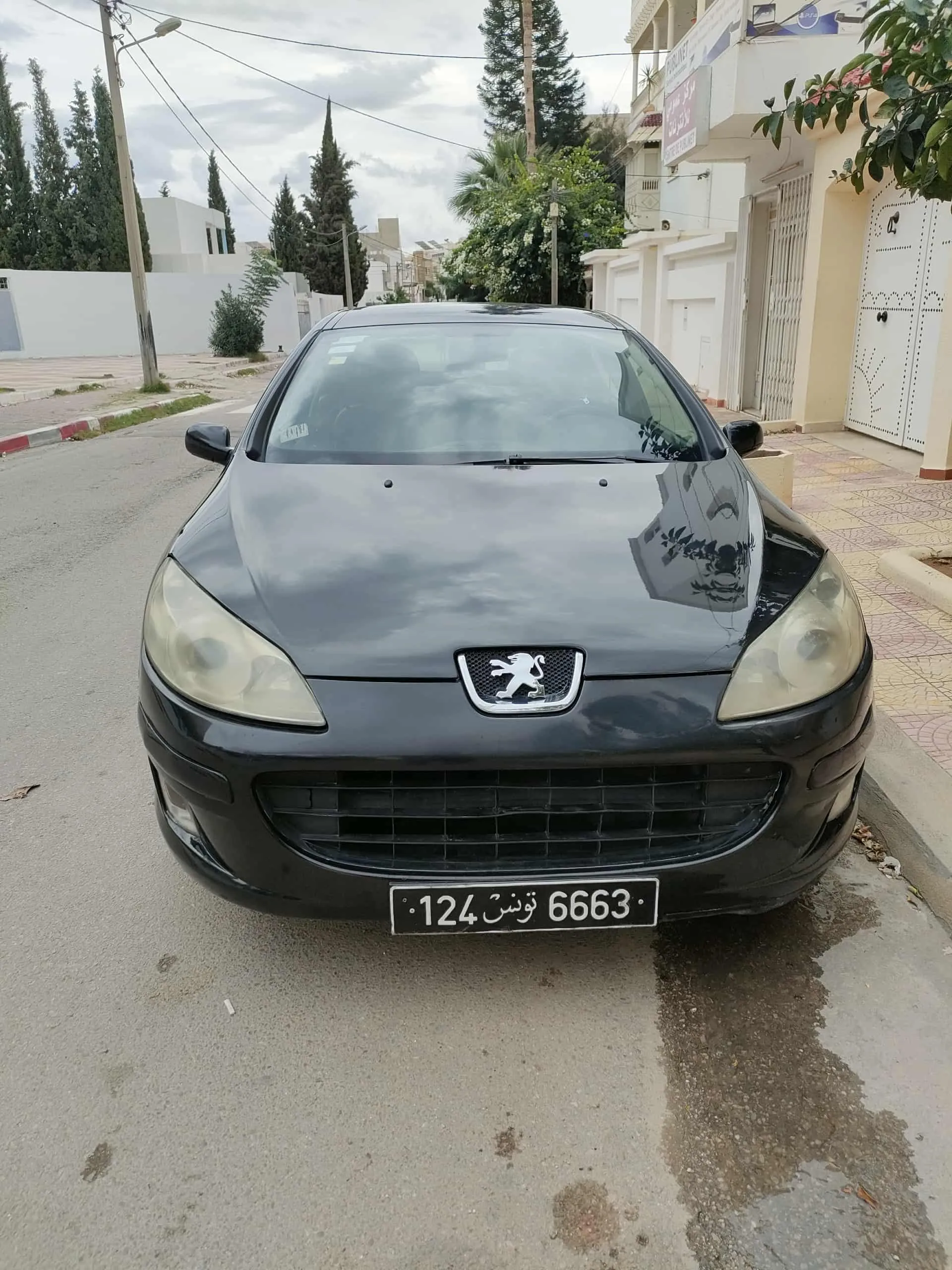 peugeot 407