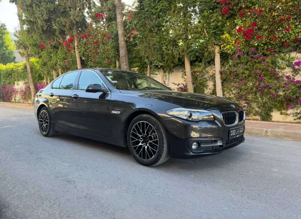 Bmw f10. 520i