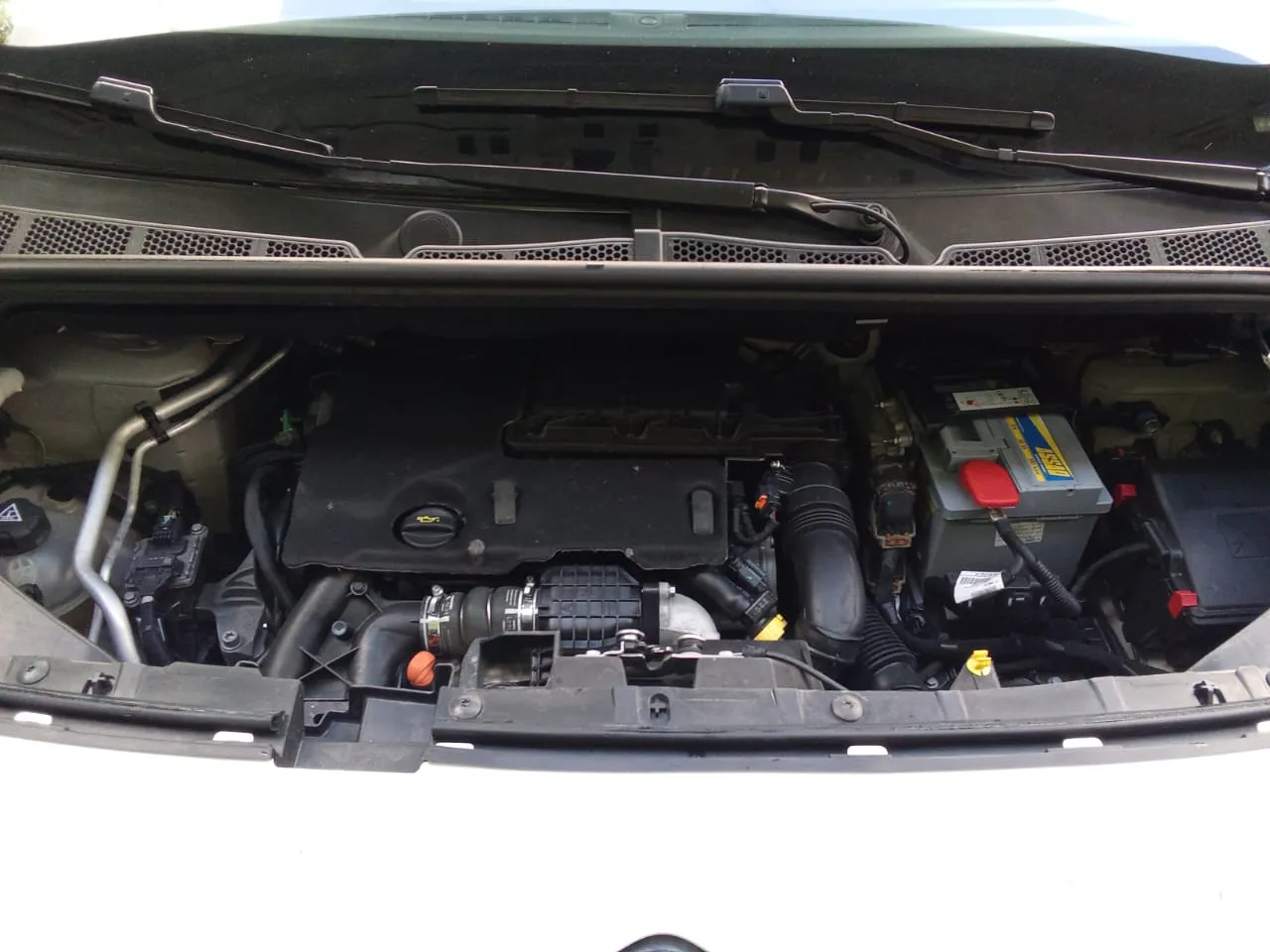 Citroën berlingo K9 - 1ère main