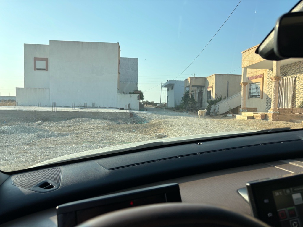 Terrain a vendre kalaat andalous