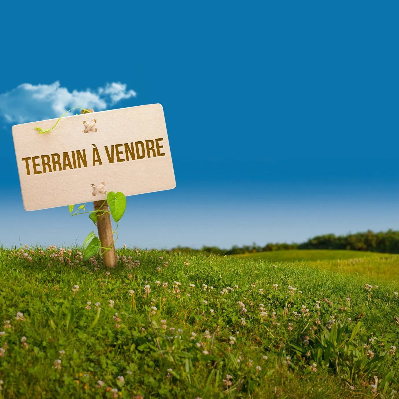 LAC 1 – Terrain 1 348 m² 🏗️ à 4 000 DT/m² 🌳 Zone Villas Haut Standing