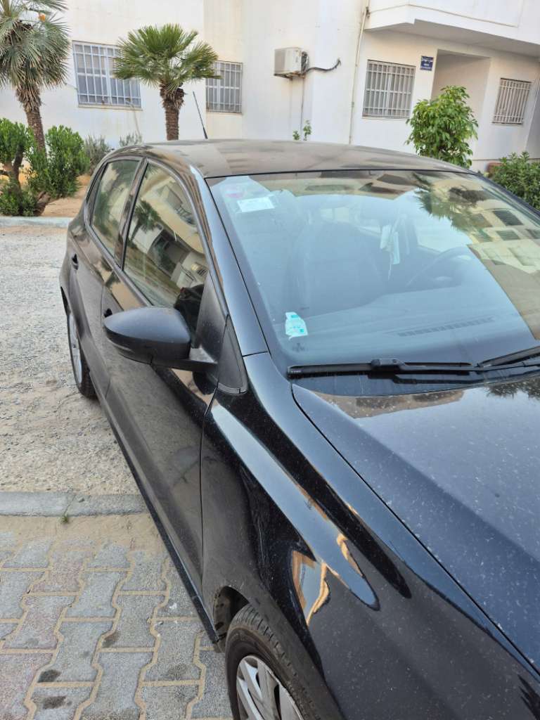 Polo 7