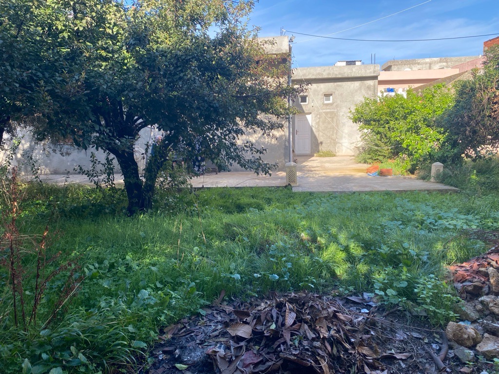 Terre a vendre a manzel bourgiba bizerte